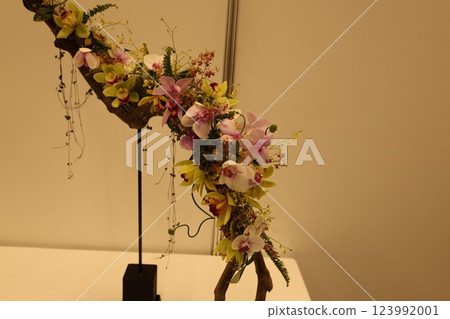 「世界蘭花展」品種繁多、色彩繽紛的蘭花 123992001