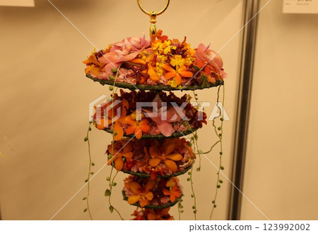 「世界蘭花展」品種繁多、色彩繽紛的蘭花 123992002