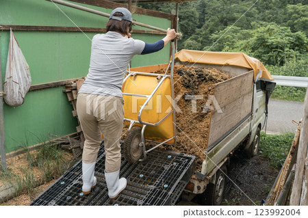 女生 女孩 女性 123992004