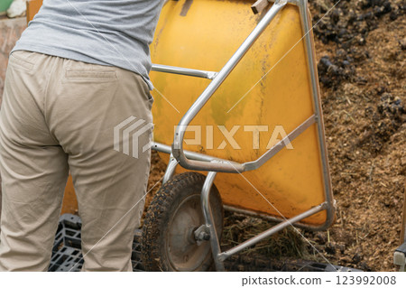 女生 女孩 女性 123992008