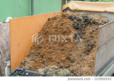 馬 馬兒 排泄物（糞便） 123992010