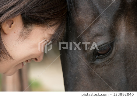 horse, female, females 123992040