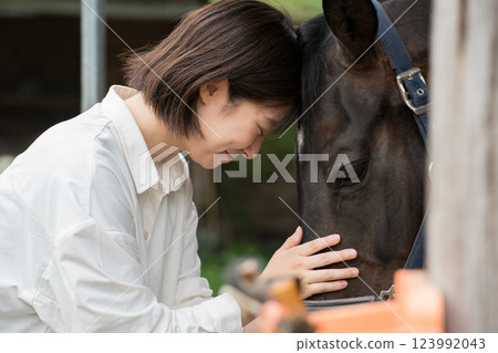 horse, female, females 123992043