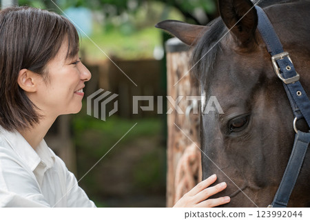 horse, female, females 123992044