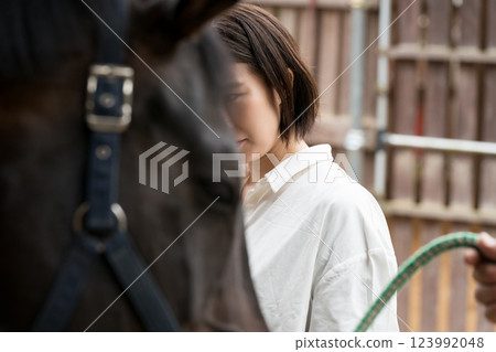 horse, female, lady 123992048