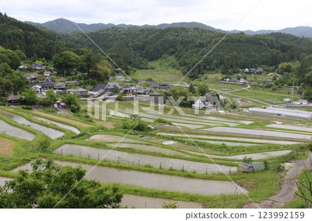 鼻長谷梯田 五月水稻種植 鼻長谷梯田 五月水稻種植 123992159