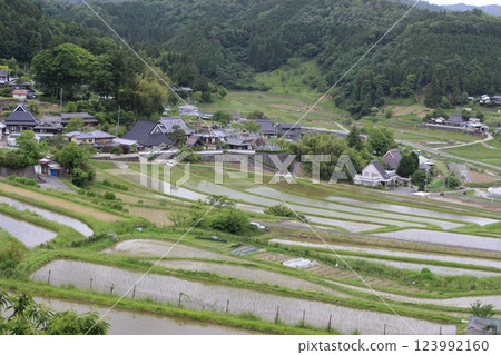 Nose Hase rice terraces Satsuki rice planting Nose Hase rice terraces Satsuki rice planting 123992160