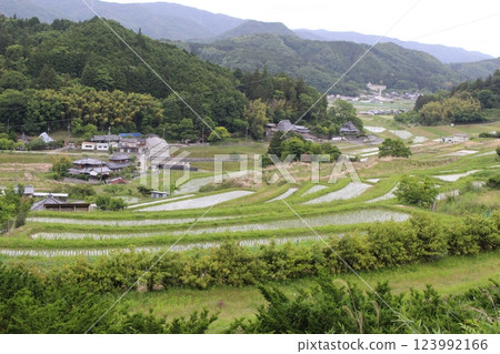 鼻長谷梯田 五月水稻種植 鼻長谷梯田 五月水稻種植 123992166