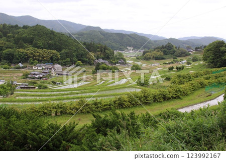 鼻長谷梯田 五月水稻種植 鼻長谷梯田 五月水稻種植 123992167