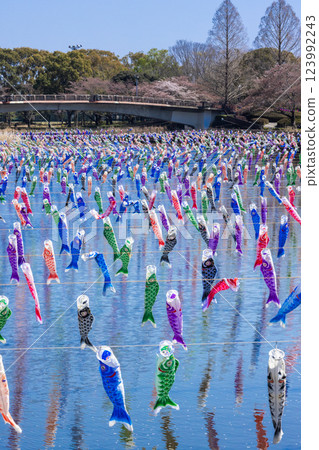 Tatebayashi City Carp Streamer Festival, Gunma Prefecture Tatebayashi City Carp Streamer Festival, Gunma Prefecture 123992243