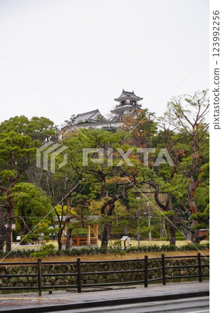 高知城 123992256