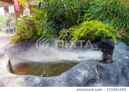 A pond with plants and mist makes a tranquil, lovely setting. 123992269