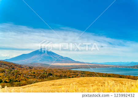 Mt. Fuji and Lake Yamanaka in Autumn 123992432