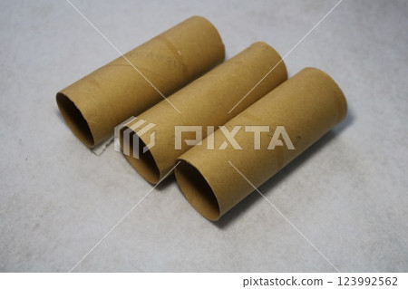 Core of toilet paper Core of toilet paper 123992562