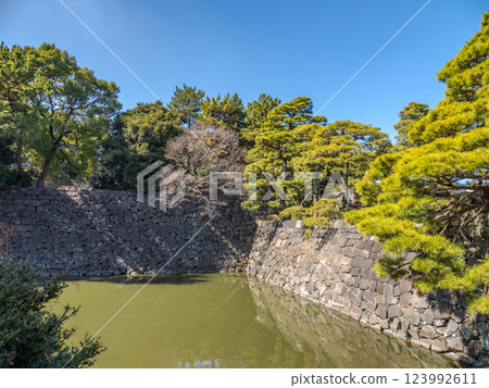 皇居東御苑天神堀護城河的松樹和石牆 皇居東御苑天神堀護城河的松樹和石牆 123992611
