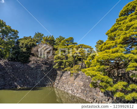 The pines and stone walls of Tenjinbori moat in the East Gardens of the Imperial Palace 123992612