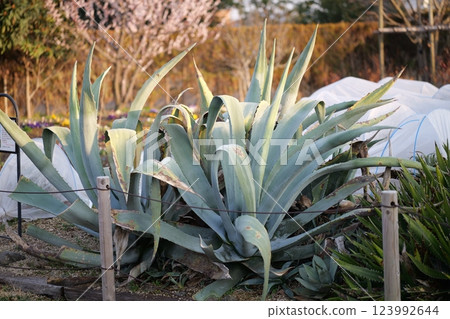 Cityscape at dusk 123992644
