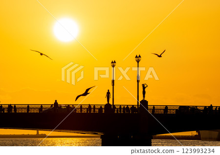 幣舞橋日落 2025 123993234