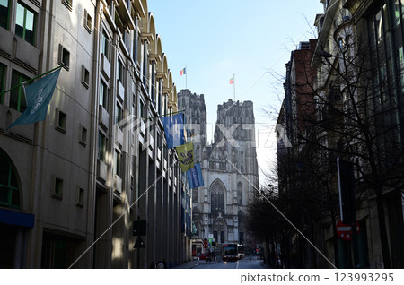 Streets of Brussels 123993295