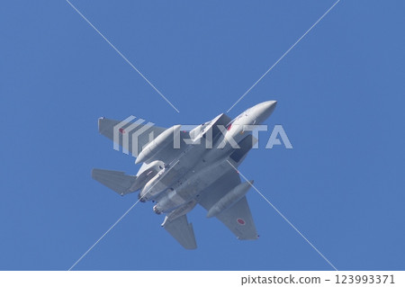 F-15 of the Air Self-Defense Force performing a maneuver flight at the air festival 123993371