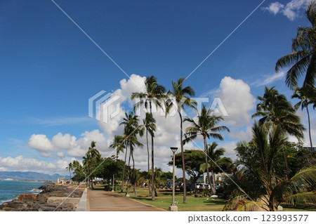 View of Hawaii 123993577