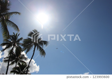 View of Hawaii 123993600