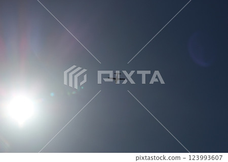 夏威夷的看法 夏威夷的看法 123993607