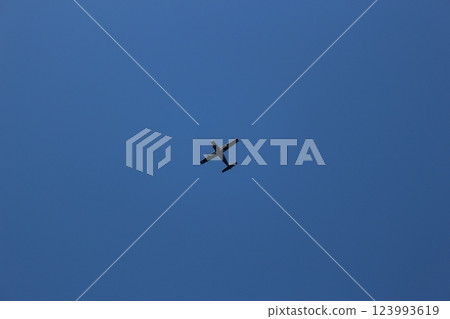 View of Hawaii 123993619