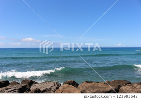 View of Hawaii 123993642