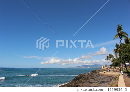 View of Hawaii 123993643
