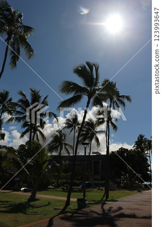 View of Hawaii View of Hawaii 123993647
