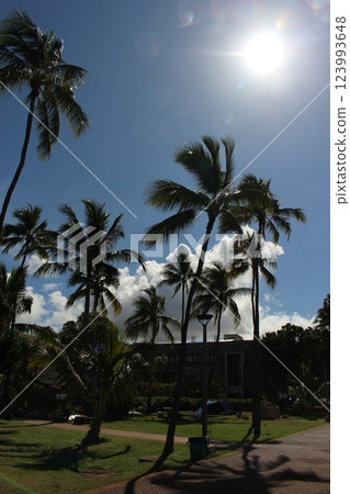 View of Hawaii View of Hawaii 123993648