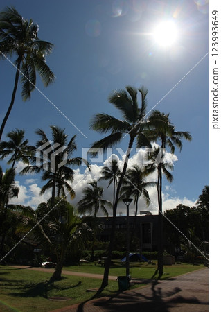 View of Hawaii 123993649