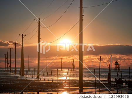 Scenery with a telephone pole 123993656