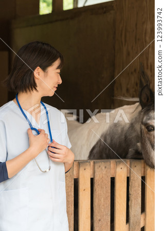 veterinarian, veterinary, veterinary surgeon 123993742