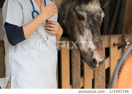 veterinarian, veterinary, veterinary surgeon 123993746