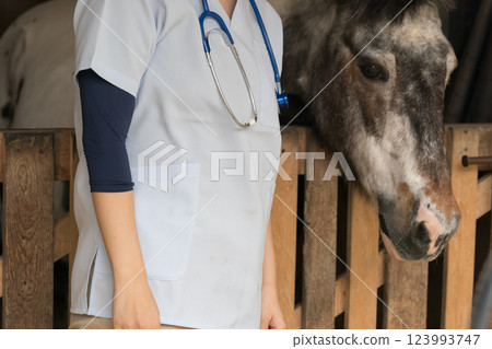 veterinarian, veterinary, veterinary surgeon 123993747