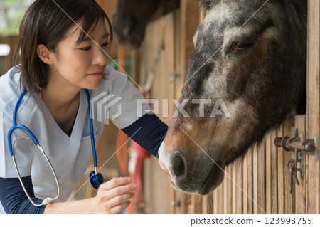 獸醫 馬 馬兒 123993755