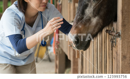 veterinarian, veterinary, veterinary surgeon 123993756