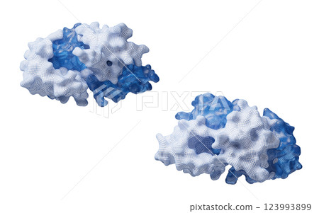 code, evolution, genome 123993899