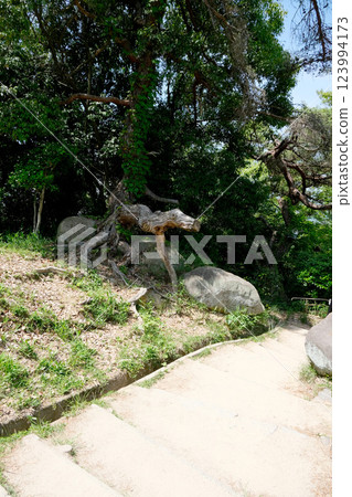 Hiroshima Prefecture, Onomichi City, Literature Street 3, May 2024 Hiroshima Prefecture, Onomichi City, Literature Street 3, May 2024 123994173