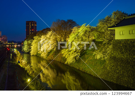 Cherry trees at night in the moat 123994667