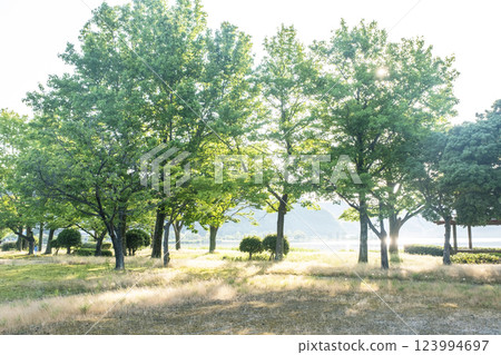 Lakeside promenade Togo Pond 123994697