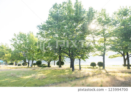 Lakeside promenade Togo Pond 123994700
