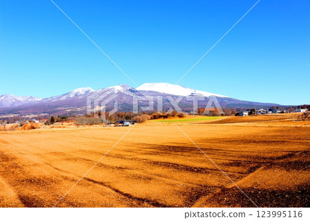 Snow-capped Mt. Asama in February Mountains of Shinshu Scenery in Shinshu 123995116