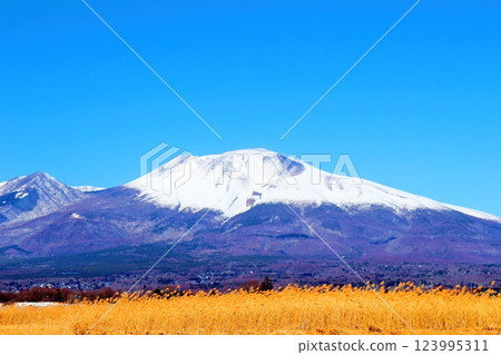 Snow-capped Mt. Asama in February Mountains of Shinshu Scenery in Shinshu 123995311