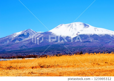 Snow-capped Mt. Asama in February Mountains of Shinshu Scenery in Shinshu 123995312