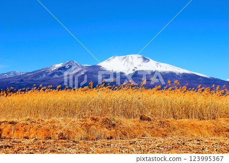 Snow-capped Mt. Asama in February Mountains of Shinshu Scenery in Shinshu 123995367