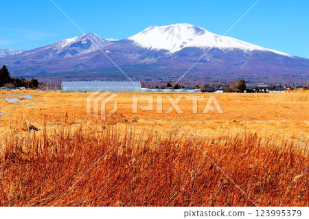 Snow-capped Mt. Asama in February Mountains of Shinshu Scenery in Shinshu 123995379