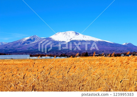 Snow-capped Mt. Asama in February Mountains of Shinshu Scenery in Shinshu 123995383